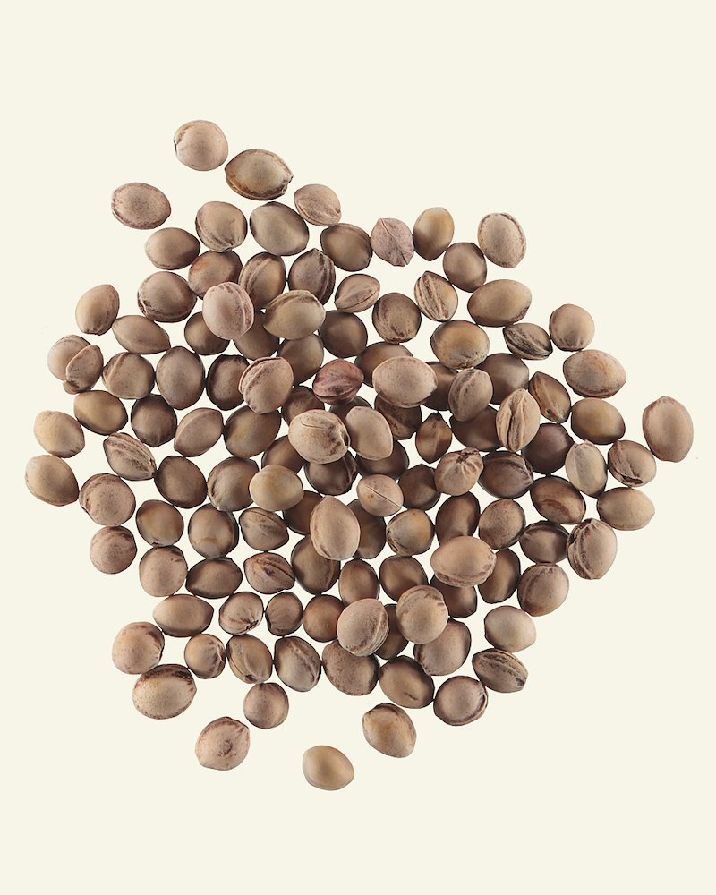 Cherry stones dried 500g/1 litre 39097_pack