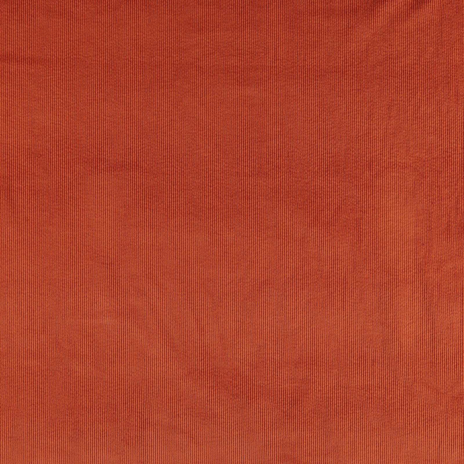 Cord 6 Wales m. Stretch hellterracotta 430862_pack_solid