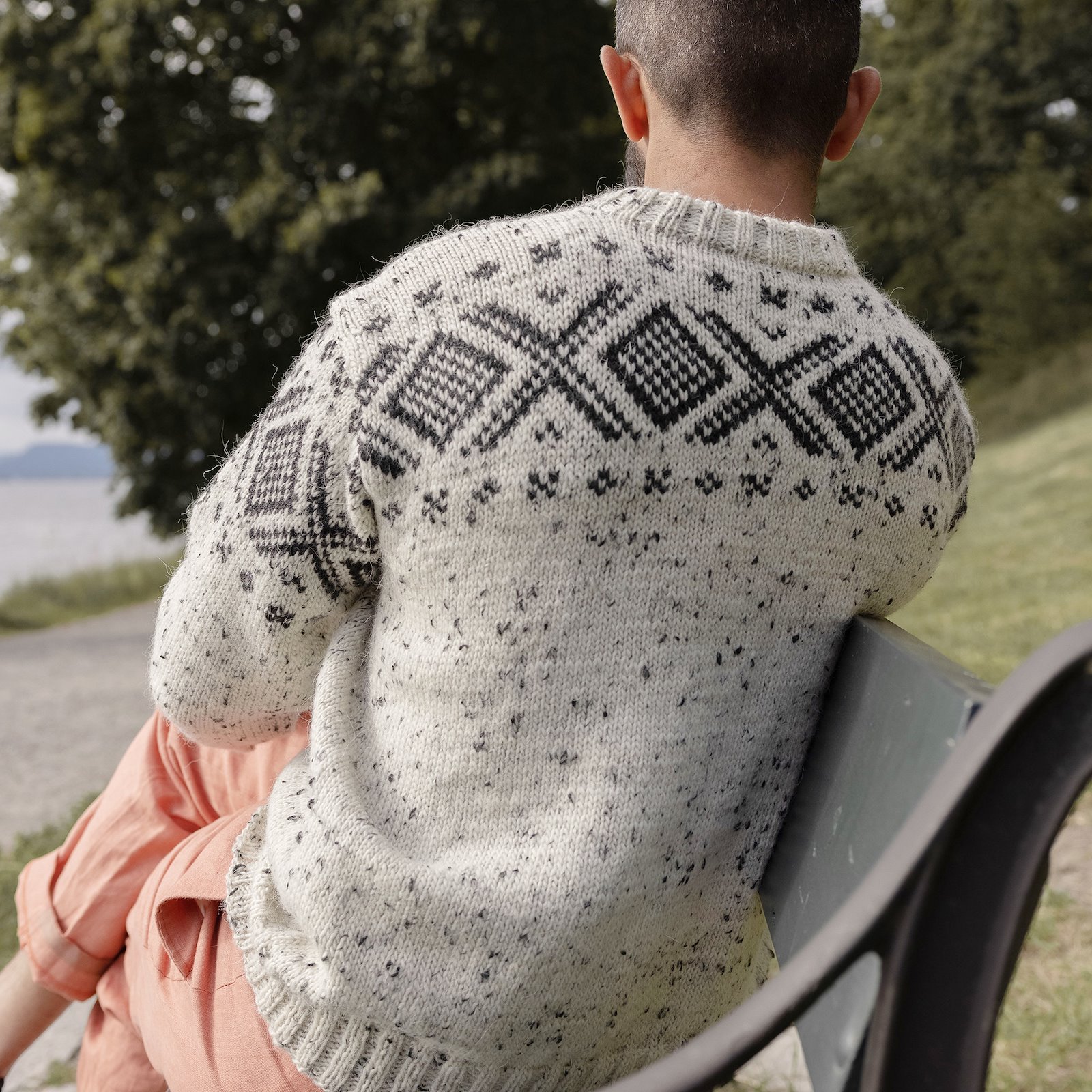 Dale yarn, knitting pattern – Cortina jumper, men DALE8000_Cortina_Jumper_b.jpg