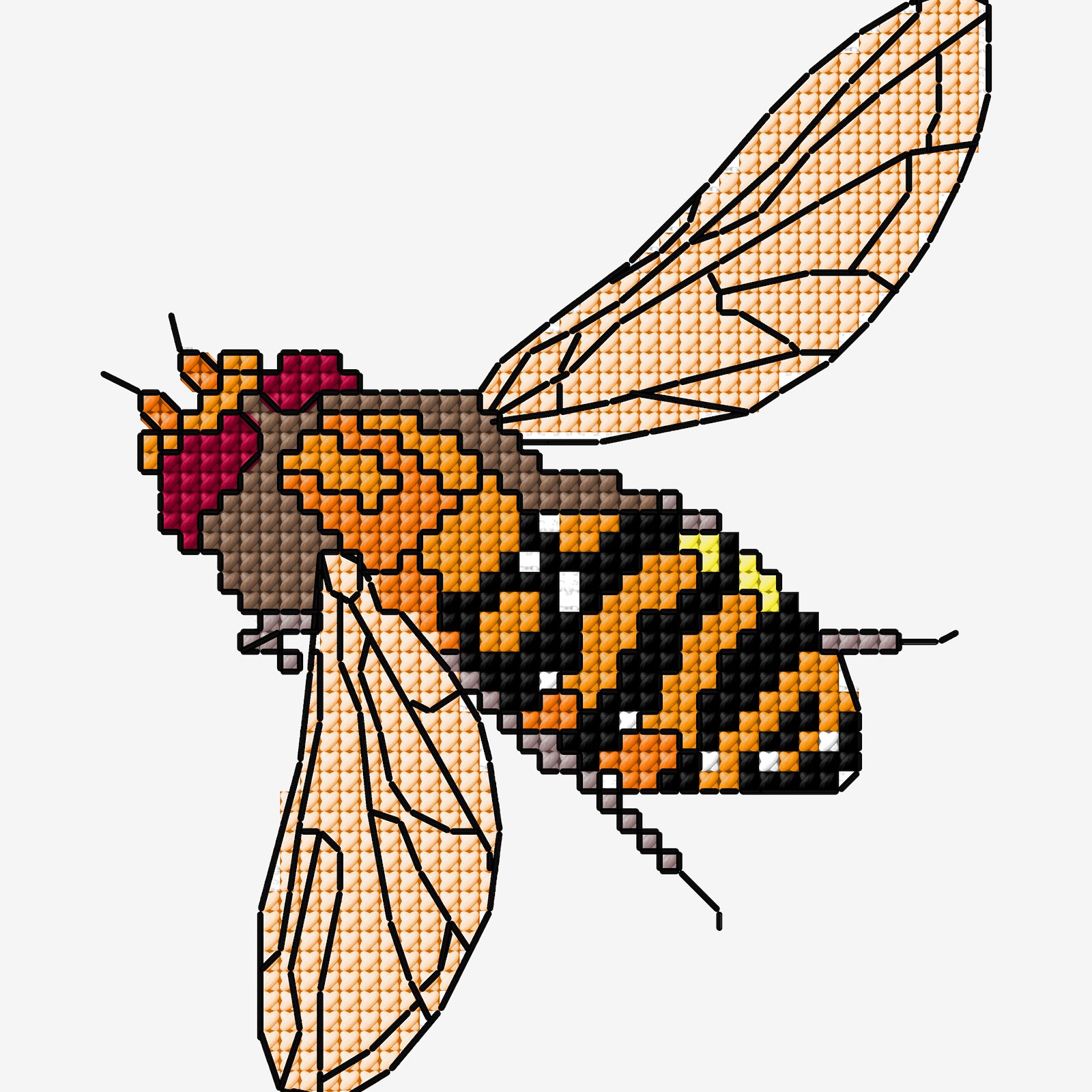 DMC Cross stitch template: Hoverfly DIY1529_image_b.jpg