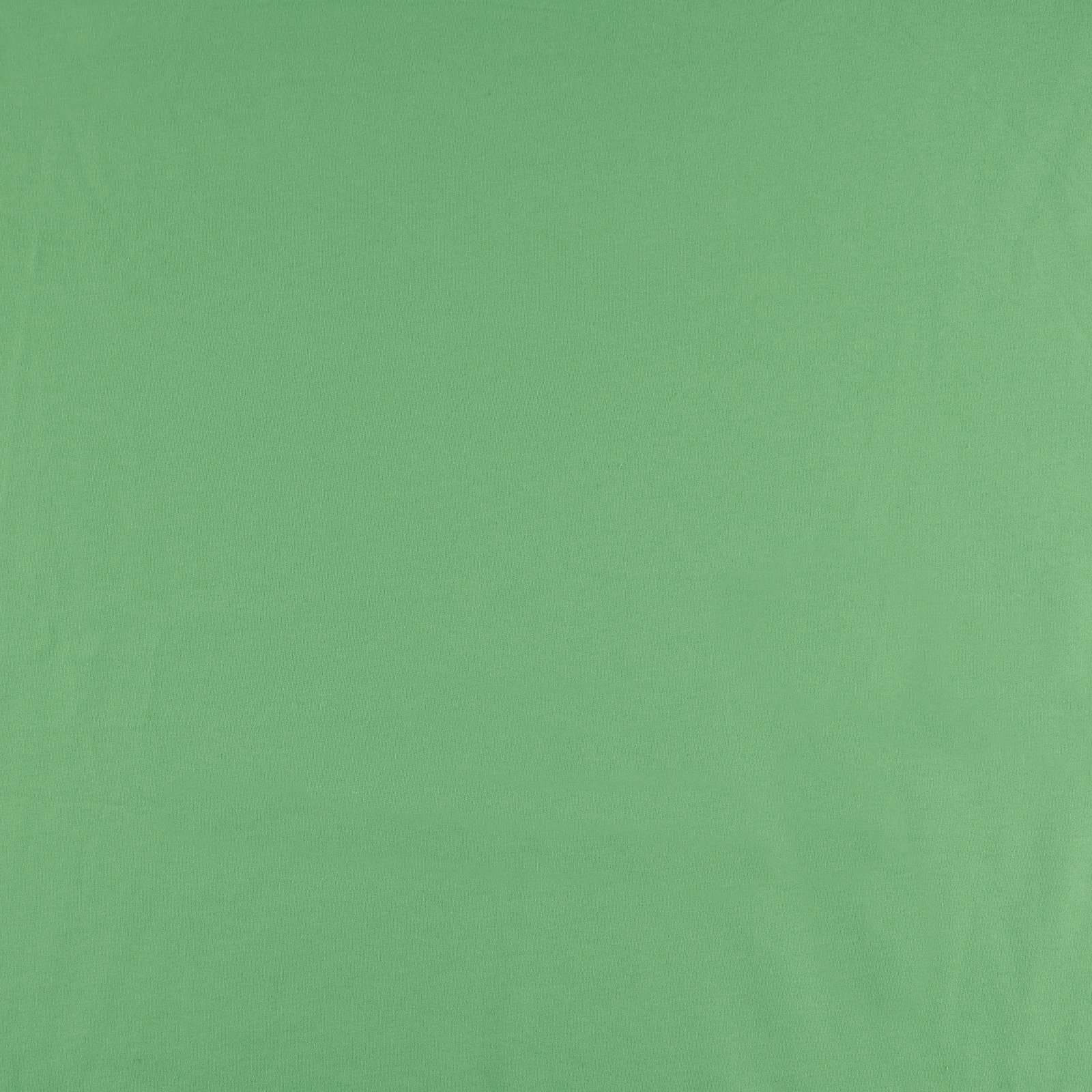 Ekologisk sweatshirttyg, 100% bomull, ljusgrön, borstad 211854_pack_solid