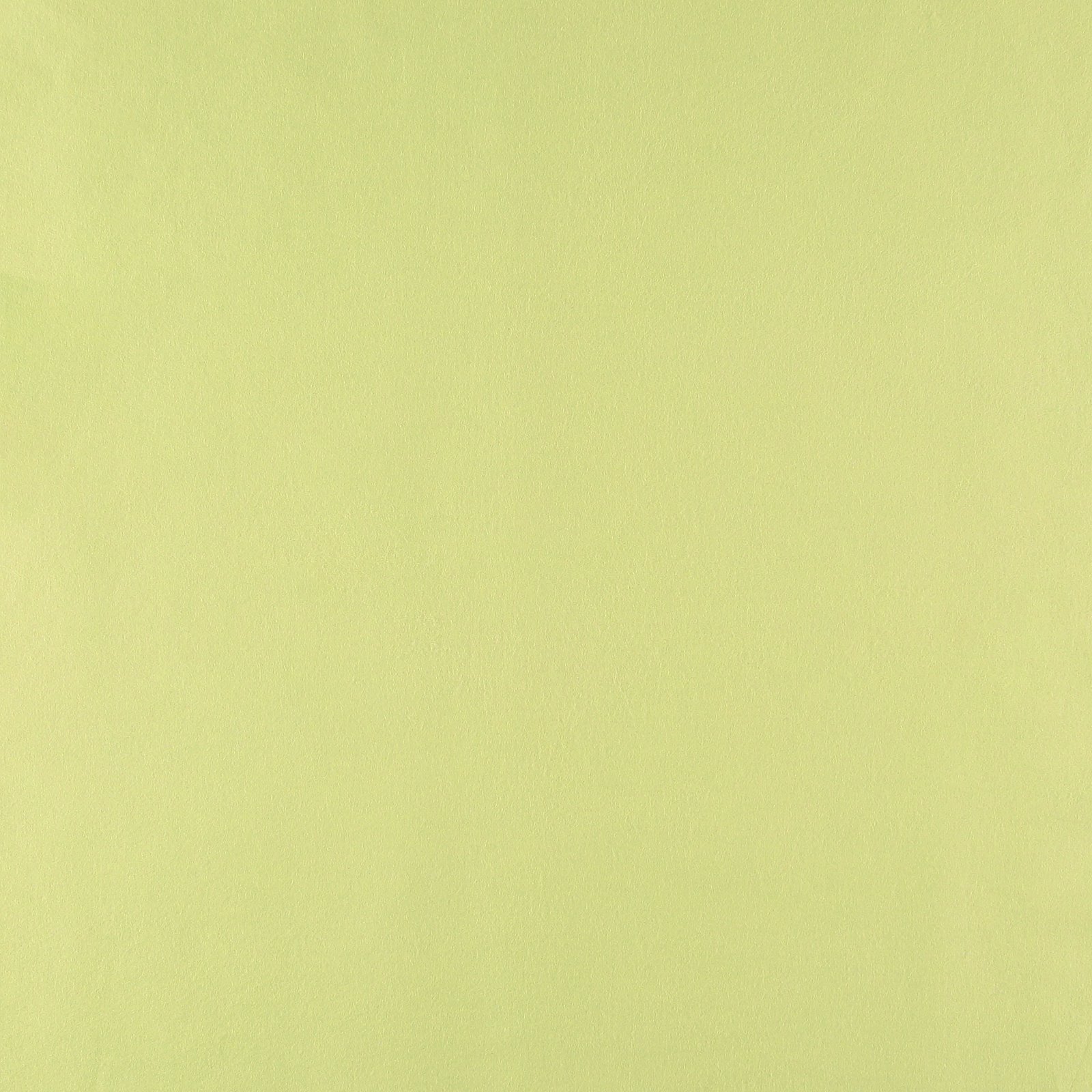 Filz mit Wolle pastellgrün 0,9 m 9193_pack_solid