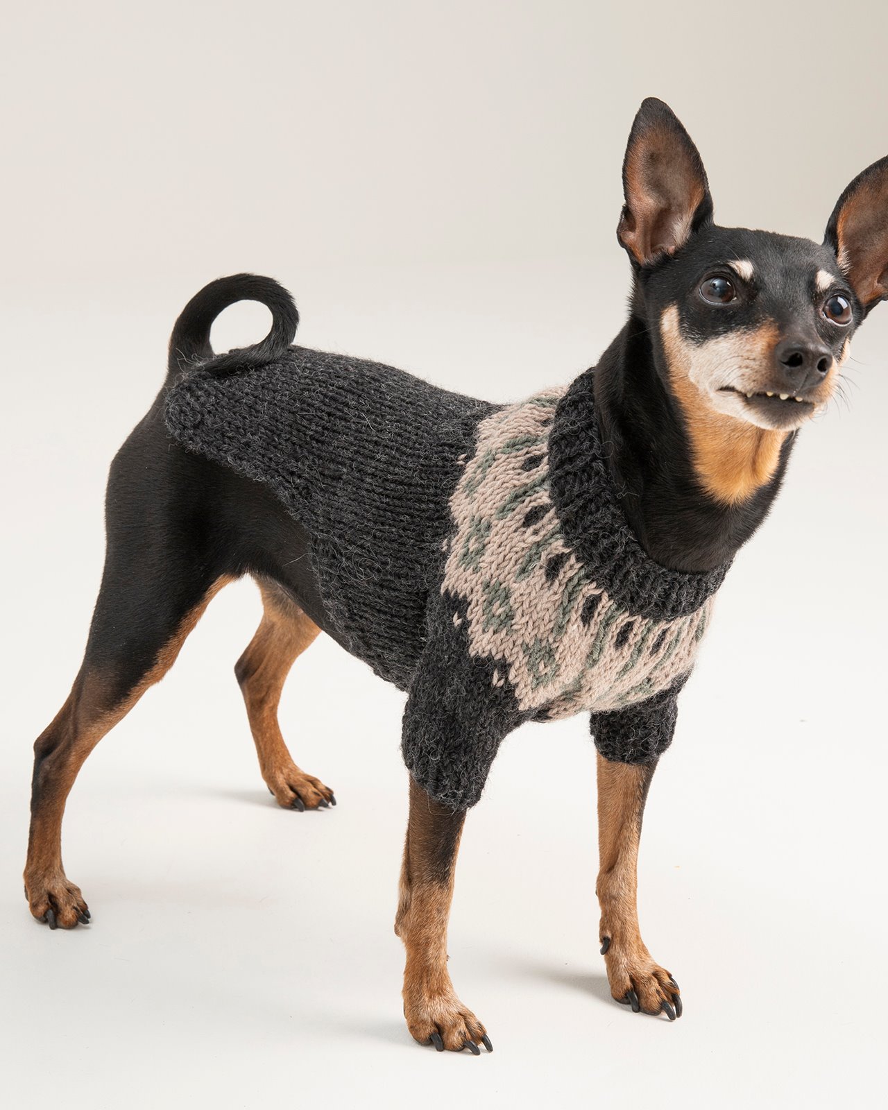 FRAYA knitting pattern - Chili Dog Sweater, accessories FRAYA4025_image_DogSweater.jpg