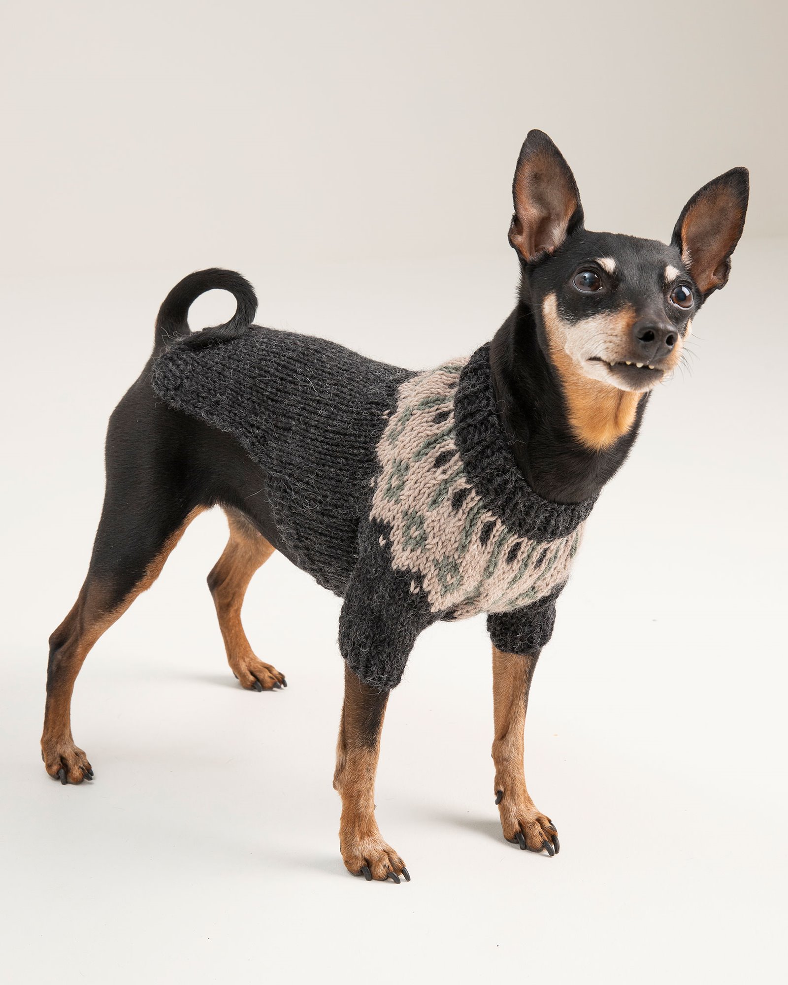 FRAYA knitting pattern - Chili Dog Sweater, accessories FRAYA4025_image.jpg