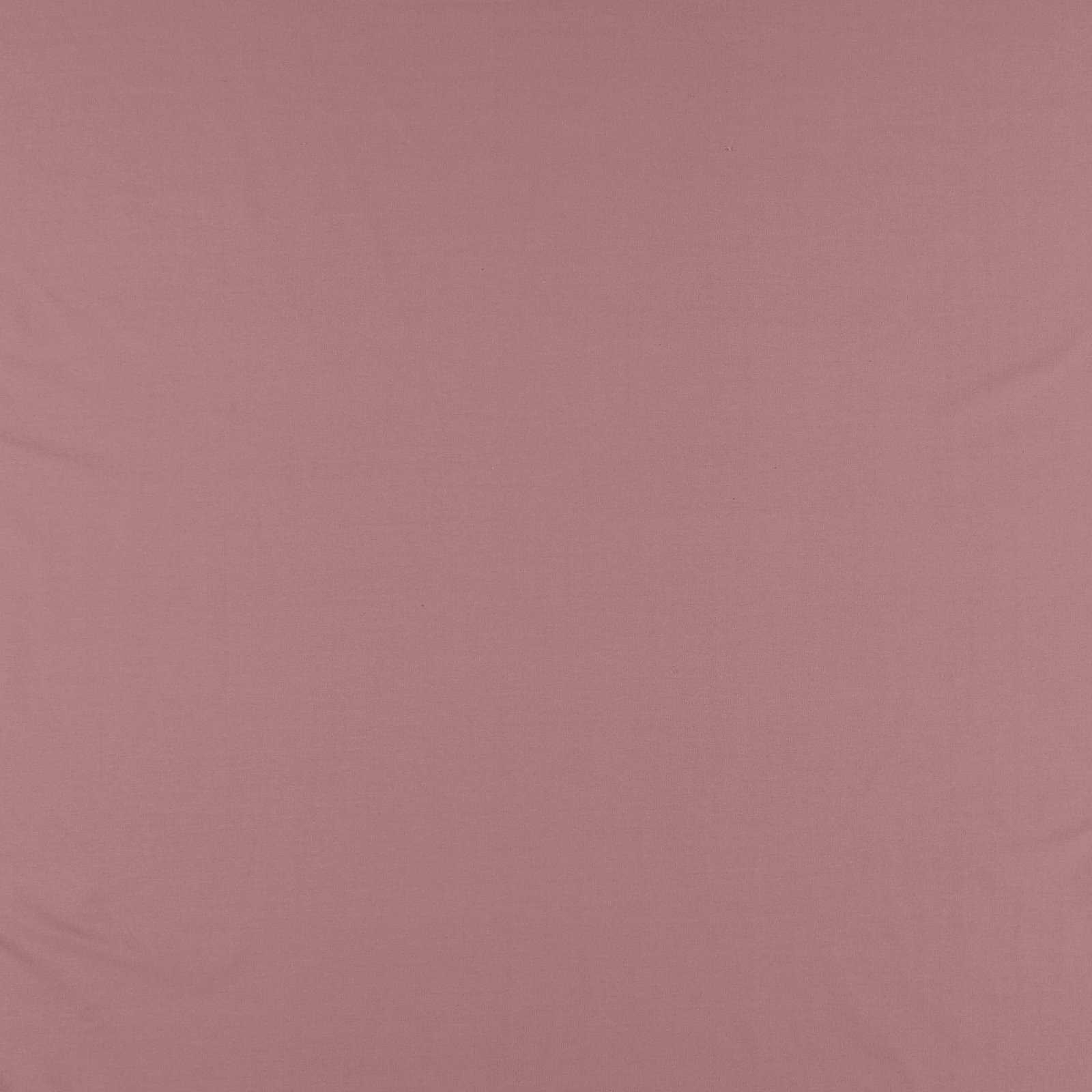 French terry str old rose brushed 211898_pack_solid