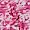 Isoli baby pink m camouflage print ruet