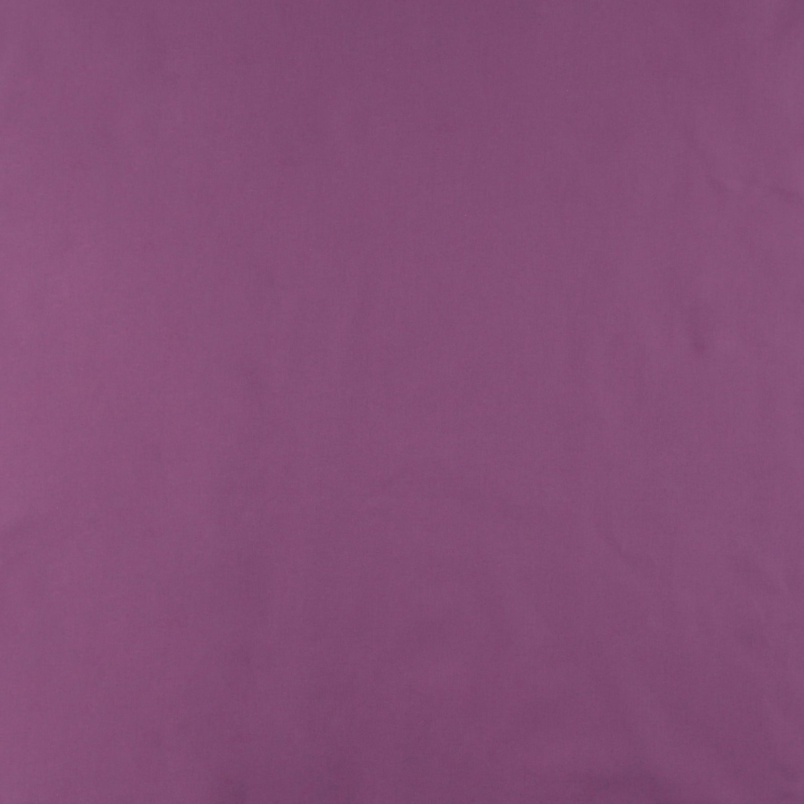 Luxury cotton purple 4217_pack_solid