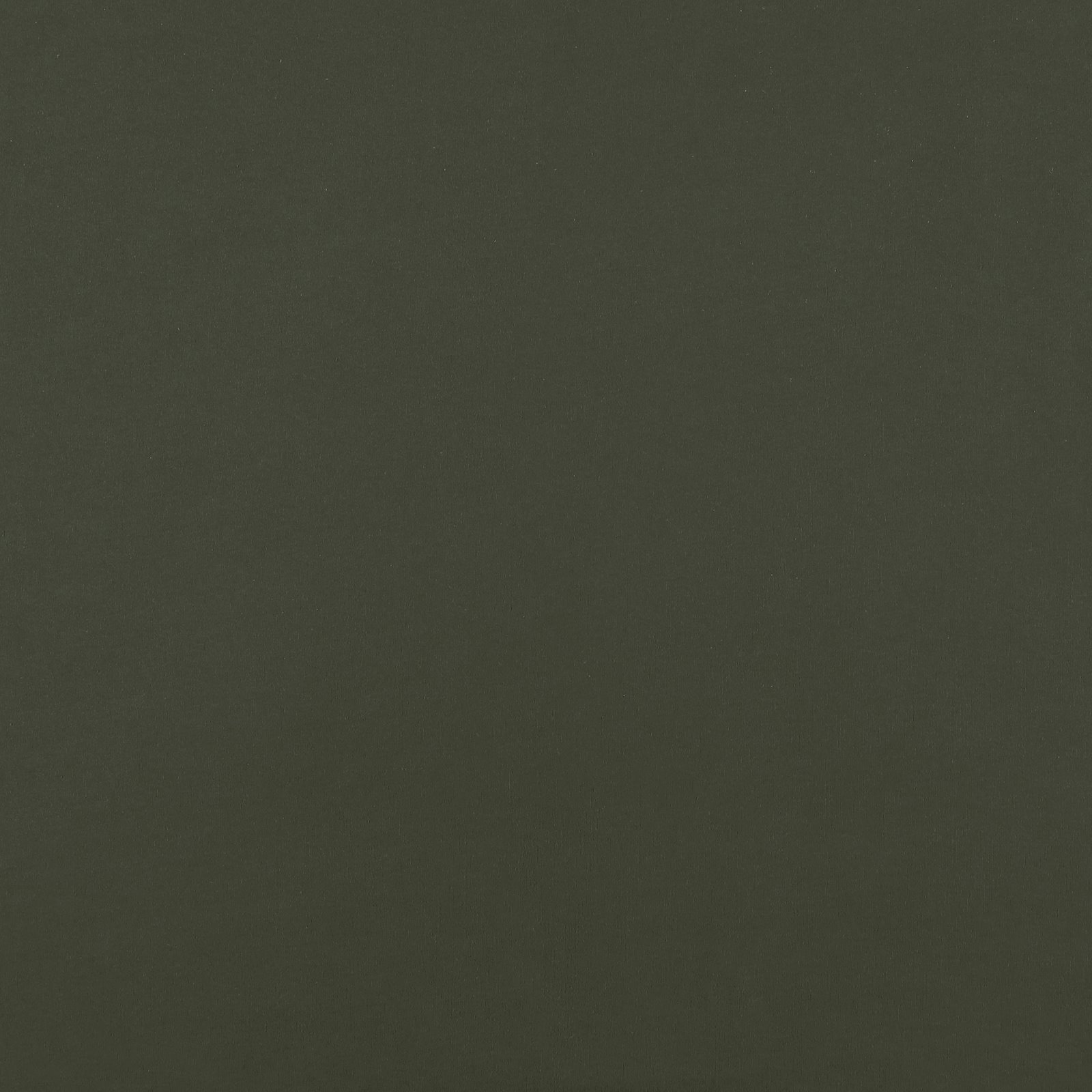 Organic french terry, 100% cotton, army green, brushed 211771_pack_solid