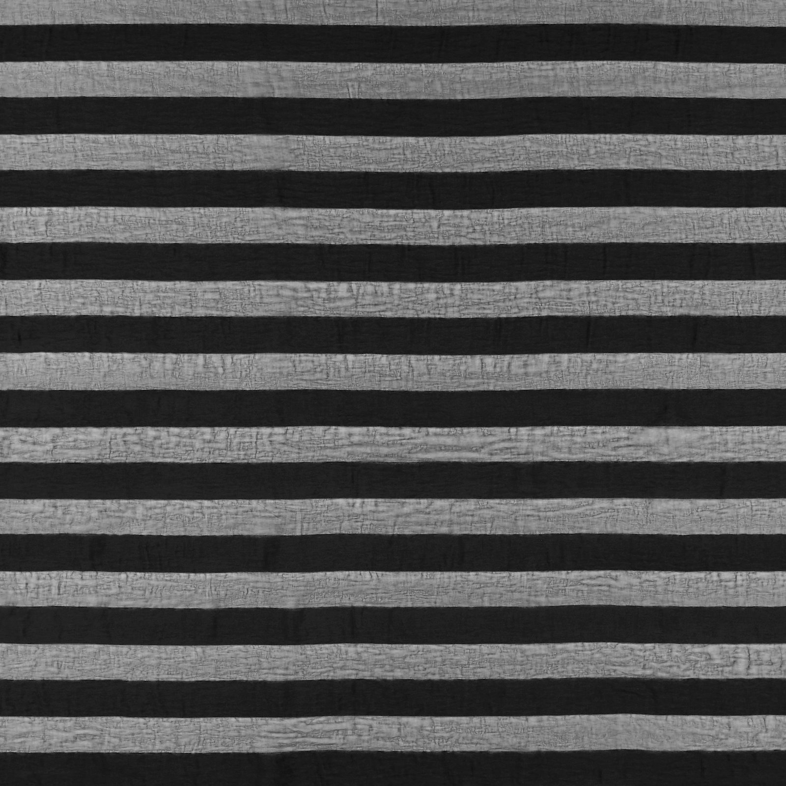 Organza black stripe 631295_pack_sp