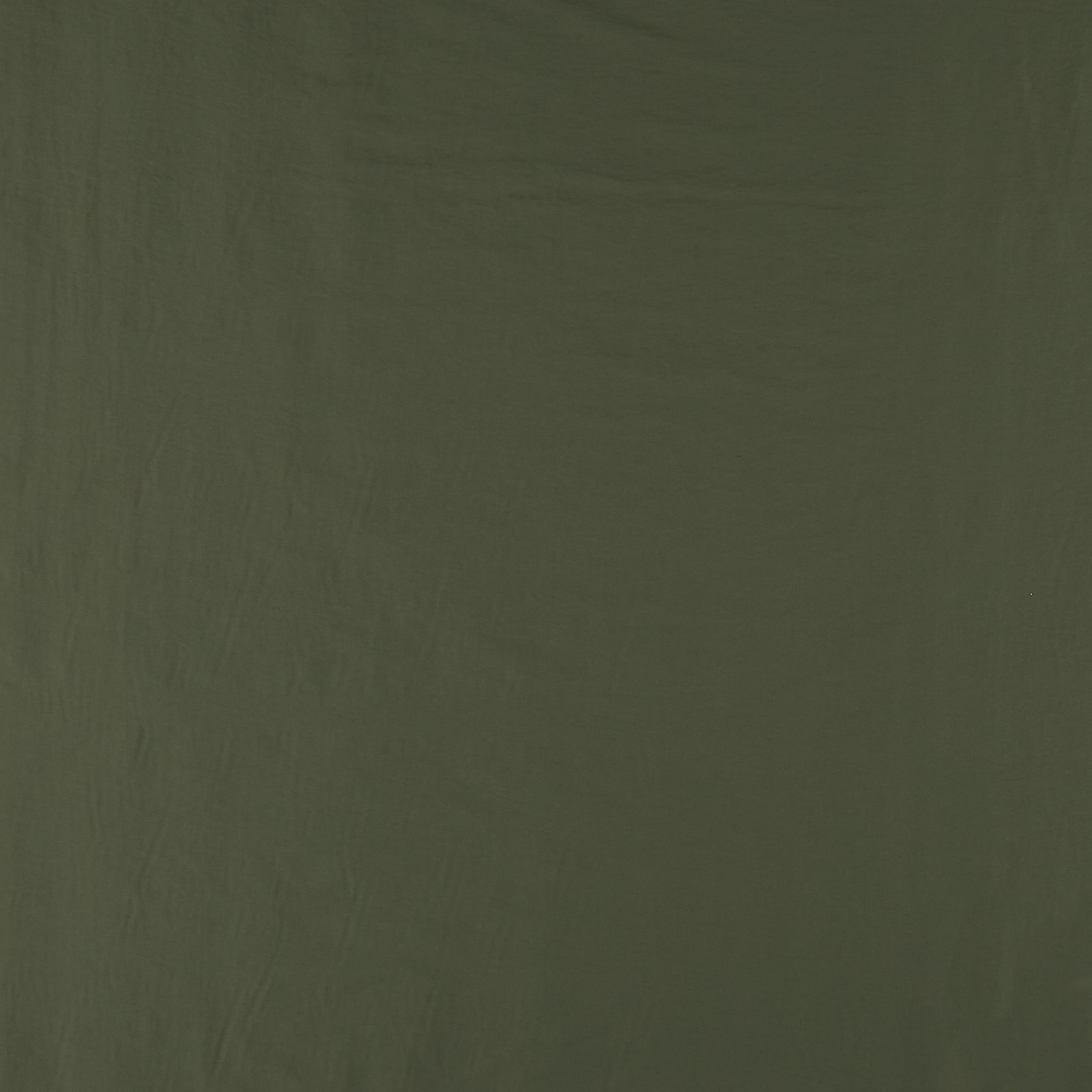 Taslan gewebt mit Struktur, Armygrün 560273_pack_solid