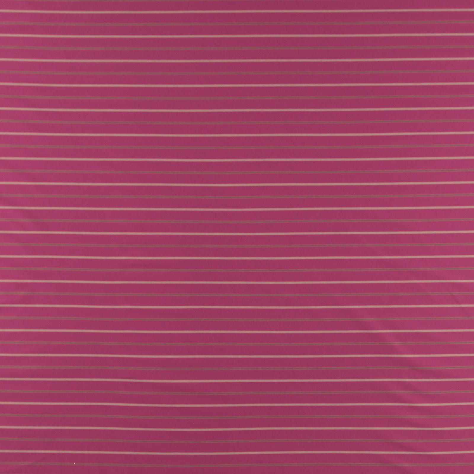 Woven cotton w stretch pink YD stripes 501987_pack_sp
